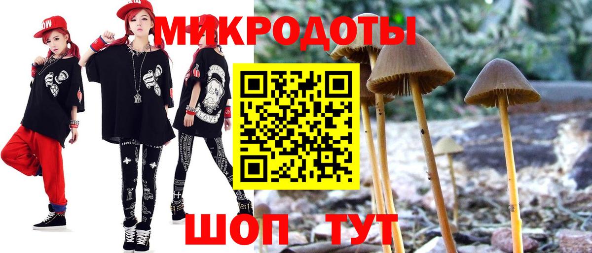 Галлюциногенные грибы Cubensis Подольск