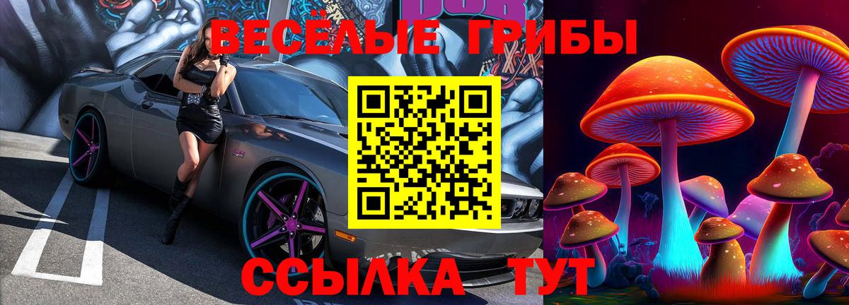 Подольск  Галлюциногенные грибы ЛСД  купить  цена  Вход с VPN 